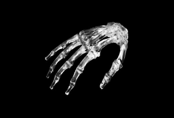 lite-600-v2.0-sla-hand-skeleton
